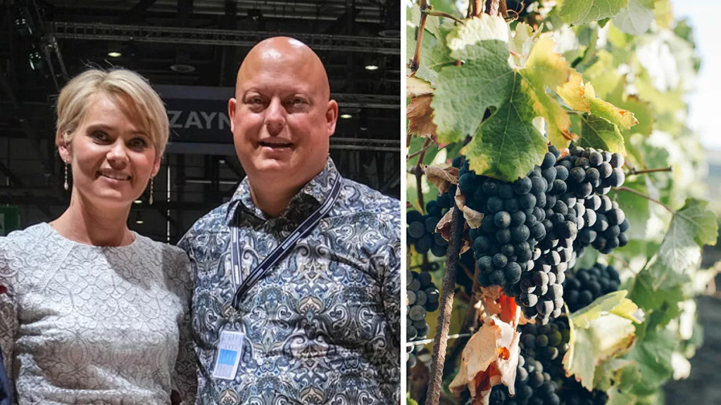 Sportbilskungen Koenigsegg satsar på vinodling