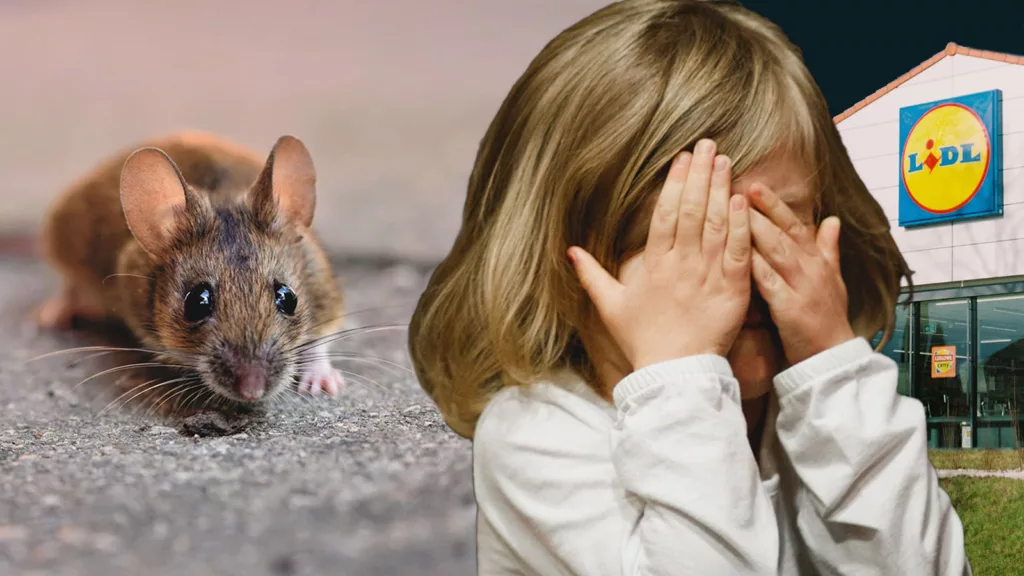 Kända matjätten drabbad av mössproblem – i flera butiker