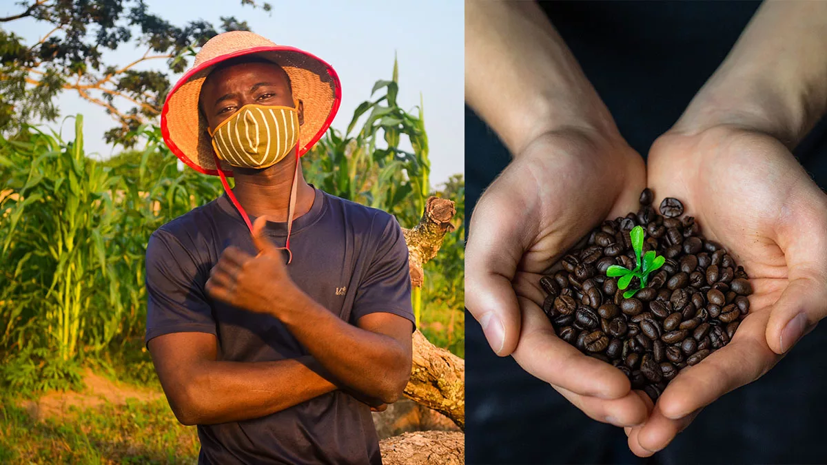 Oroväckande trenden: Färre svenskar köper ekologiskt 