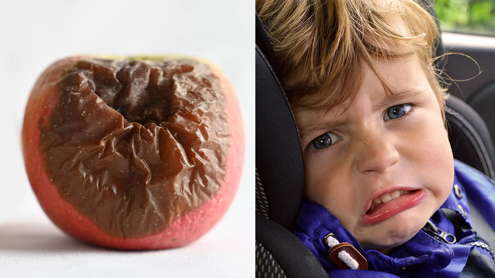 Nyord: Så lär du dig att grönchilla och menyflexa